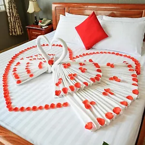 Hotel Quang Hoa Airport, Ho Chi Minh City